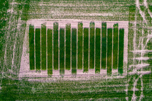 Preview: Aerial shot of farm field crops covered in greenery in the daylight in the countryside