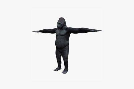 Preview: Gorilla with extended arms