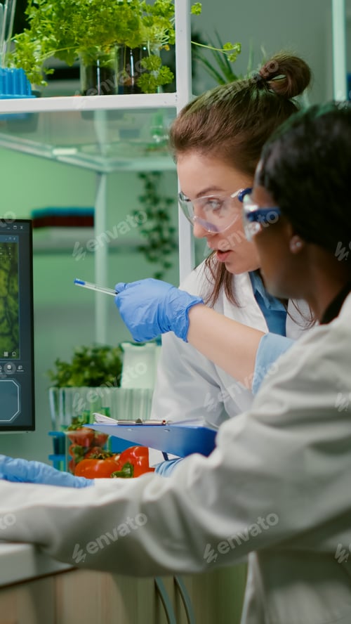 Preview: Collegues checking medical expertise on computer researching for gmo meat sample