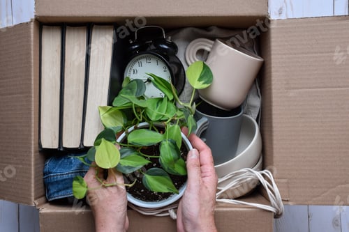 Preview: Person's hands packing personal belongings items into cardboard box for moving