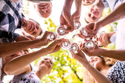 Visualização: Celebração familiar ou uma festa no jardim no quintal.