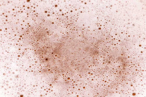 Preview: Macro detail of beer froth bubbles