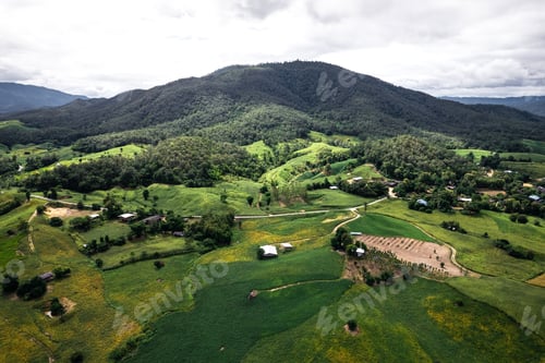 Preview: field scenery views and green fields on a clear day