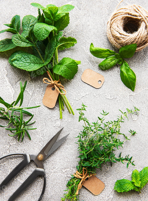 Preview: Kitchen herbs