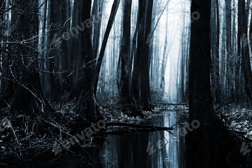 Preview: darkness, forest, horror, spooky