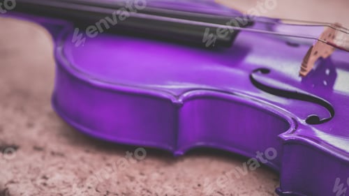 Preview: Purple viola on a granite coffee table