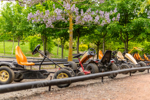 Preview: Families gather in a park where children eagerly ride pedal go-karts along a winding track