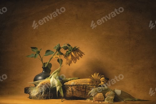 Preview: Autumn still life with corn and sunflowers.
