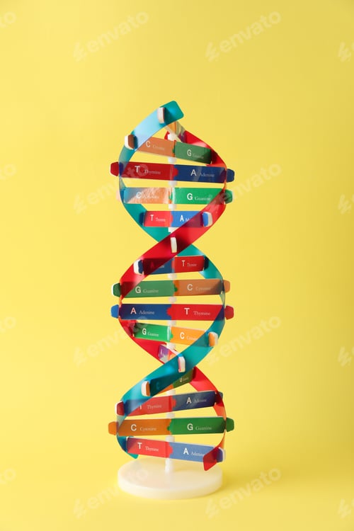 Preview: One DNA structure model on yellow background