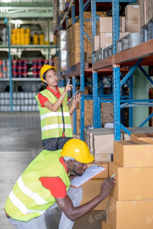 Preview: African American woman stand and work in warehouse workplace area for checking package