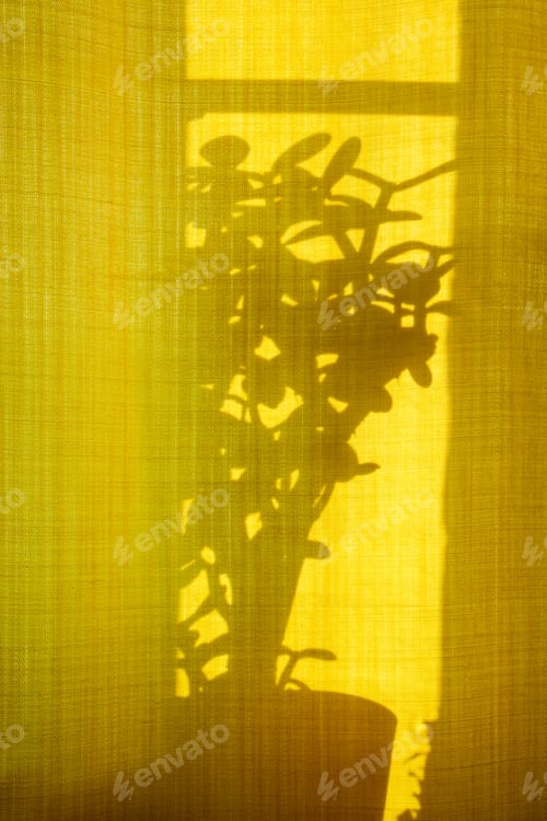 Preview: Unusual shadows and silhouettes from plants on yellow textiles. Trendy abstract background.
