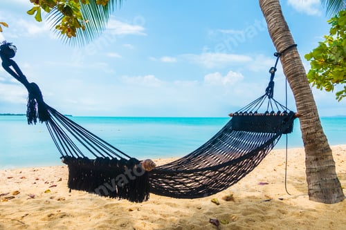 Preview: Empty hammock swing around beach sea ocean with white cloud blue sky