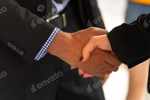 Preview: Successful business agreement of young businessmen and woman