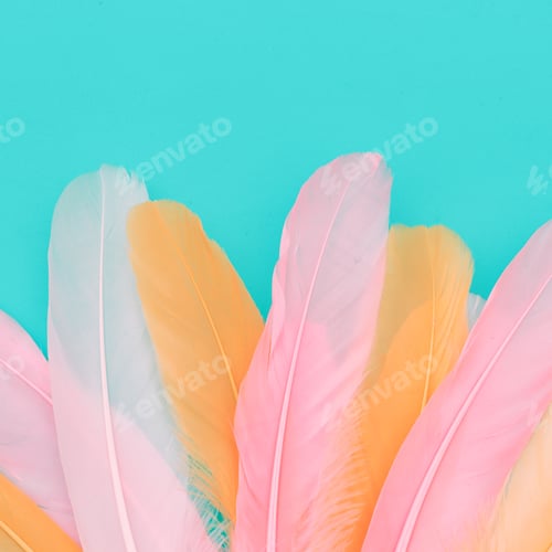 Preview: Minimal candy feathers background art gallery
