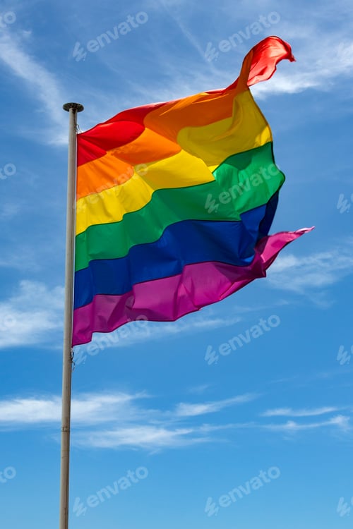Preview: The Gay Pride Flag - LGBTQI+