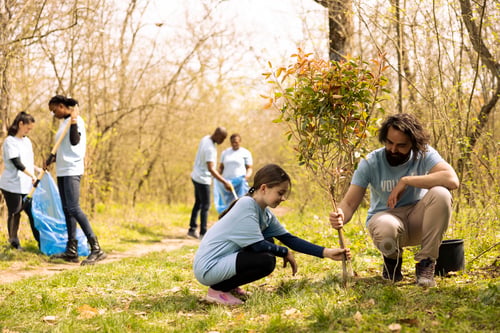 Preview: Volunteer and small girl collaborate on planting a tree together