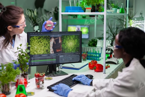 Preview: Multi-ethnic team of doctors analyzing bio beef sample working at biological experiment