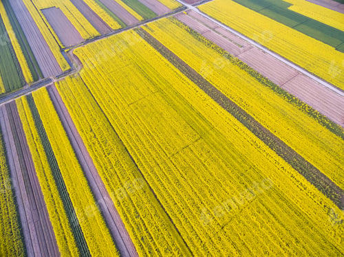 Preview: bird's eye view of the spring fields