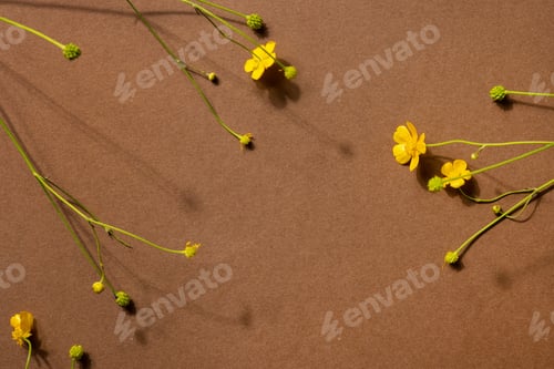 Preview: Yellow wildflowers on brown background with copyspace. Modern trendy composition