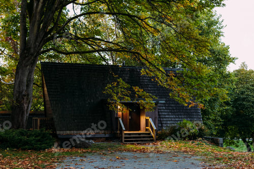 Preview: Beautiful view of a cabin surrounded by trees in Stanley Park, Vancouver, Canada