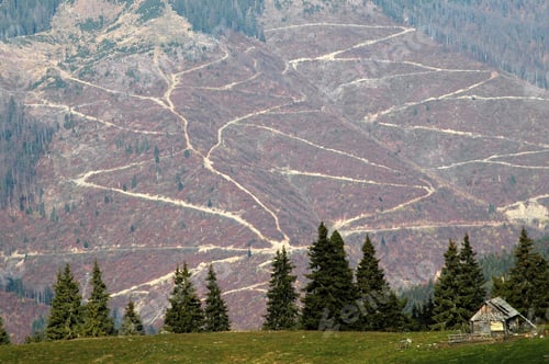 Preview: Deforestation in Romania. Mountain slope devastated by illegal forest exploitation