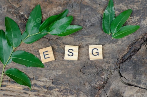 Preview: ESG abbreviation on wooden cubes on a wooden background framed. Environmental Social Governance
