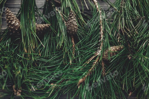 Preview: christmas tree fir branches and pine cones top view