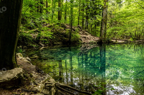 Preview: Mirror lake in a dense forest in Romania