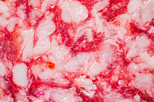 Preview: Cut of salami sausage. Macro background.
