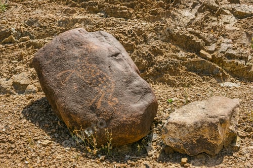 Preview: A Petroglyph in Wadi Al Hayl