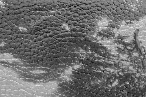 Preview: Abstract Background Of Rough Spotty Texture Of Natural Leather Closeup Monochrome Tone
