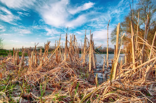 Preview: Sunny day on a calm river during early spring