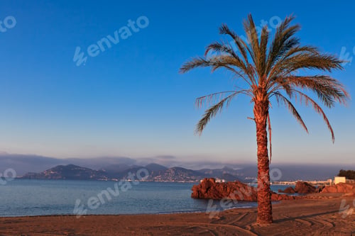 Preview: sunrise on the beach