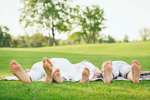 Preview: Happy family lying on green grass in park. Healthy lifestyle concept and relaxation