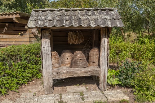 Preview: Traditional beehives flipped from straw