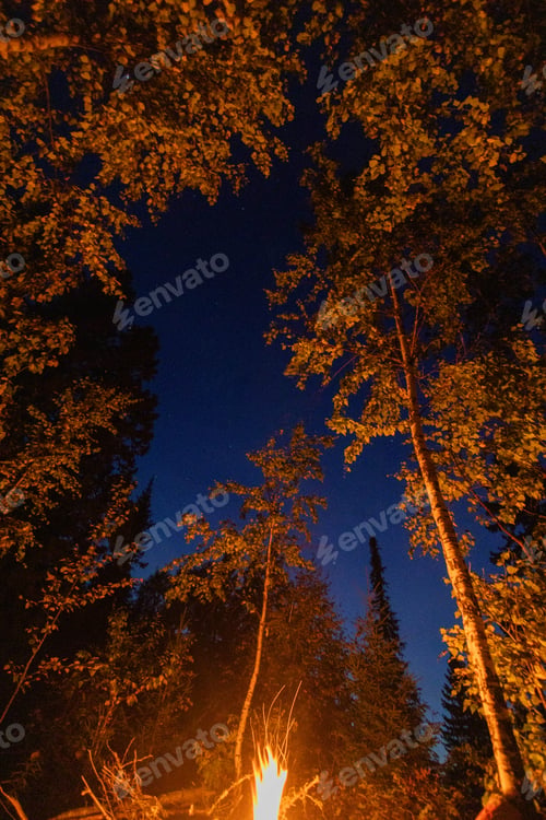 Preview: People gather around a fire under the stars in the woods at night