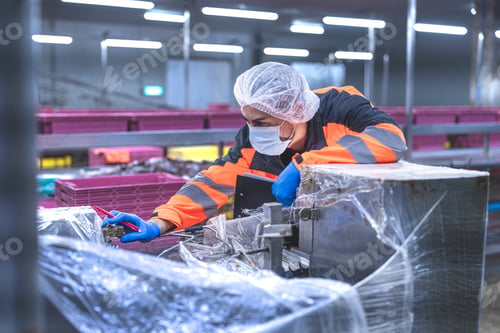 Preview: The research team inspected the seafood production line and machinery.