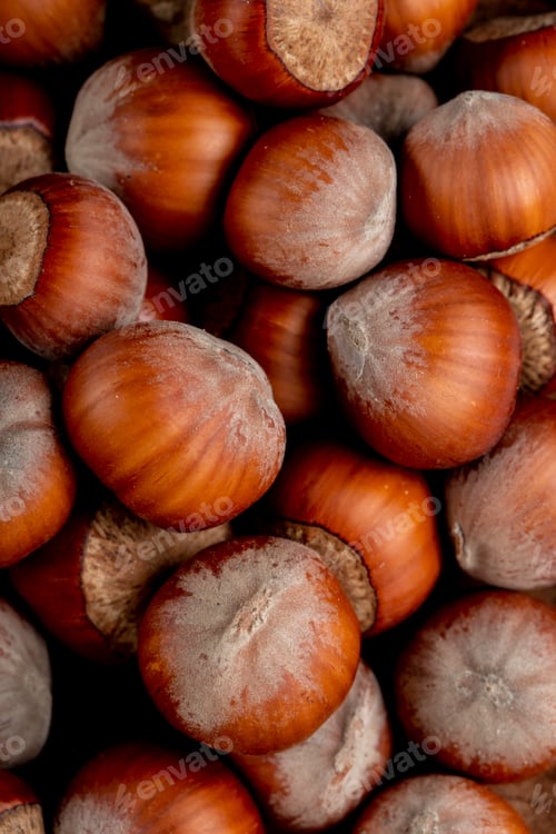 Preview: close up of hazelnuts background of hazelnuts