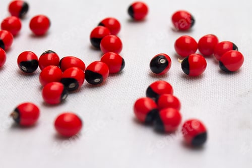 Preview: Selective focus shot of bright red abrus precatorius beans on a white table
