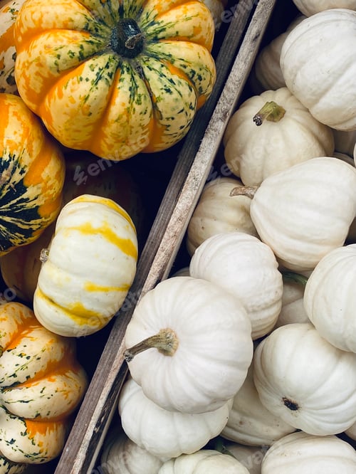 Preview: Pumpkins