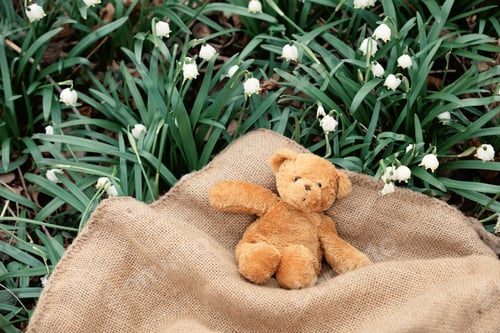 Preview: teddy bear on sackcloth on a meadow of snowdrops