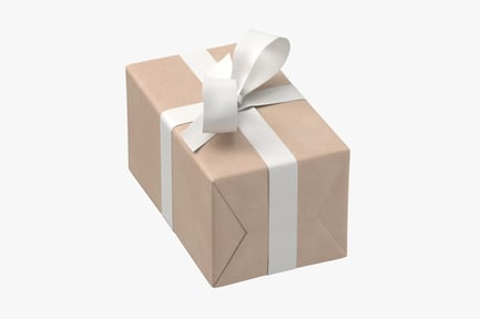 Preview: Wrapped Gift with Ribbon Bow