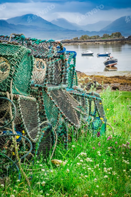 Preview: Colored cage for lobster on shore, Scotland
