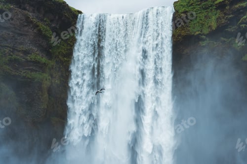 Preview: Seagull bird flying through powerful Skogafoss waterfall in summer