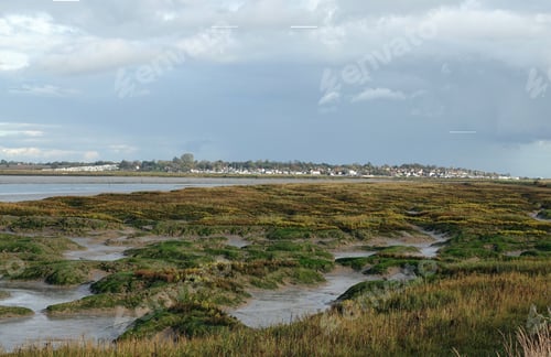 Preview: View of swampy land under a bright sky