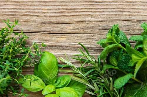 Preview: Bunch of aromatic herbs