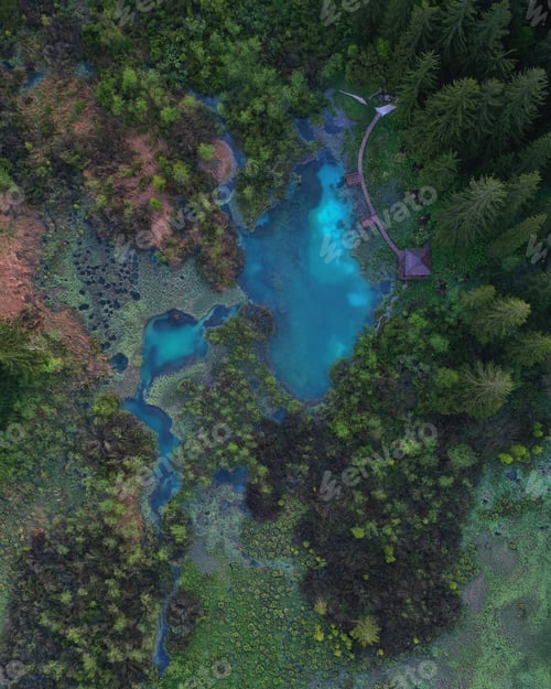 Preview: Zelenci Springs is where the river Sava starts its journey towards the valley