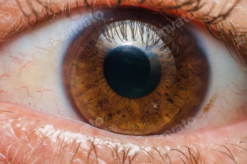 Preview: Closeup shot of the brown eye of a female