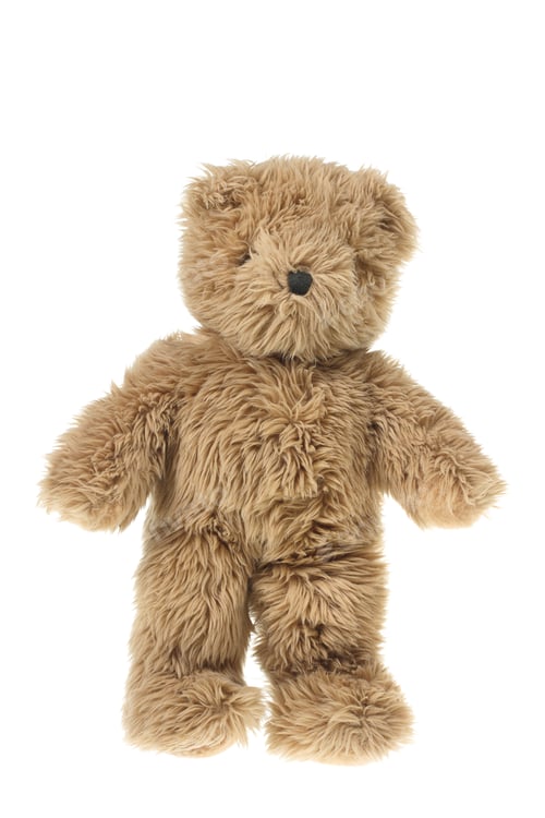 Preview: Teddy Bear