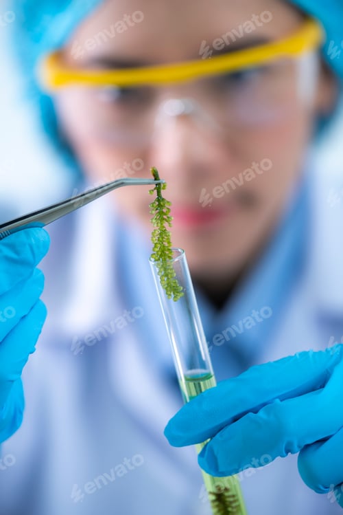 Preview: Photobioreactor in lab algae fuel biofuel industry, Algae fuel